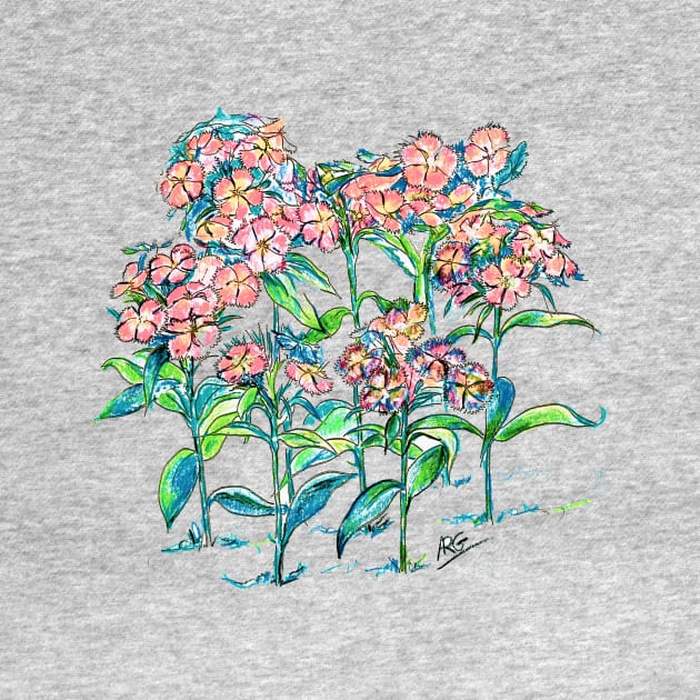 Sweet Williams Flowers color pencil by ShiningLightGallery